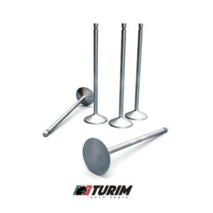 VÁLVULA DE ADMISSÃO GM 1.0 8V EFI